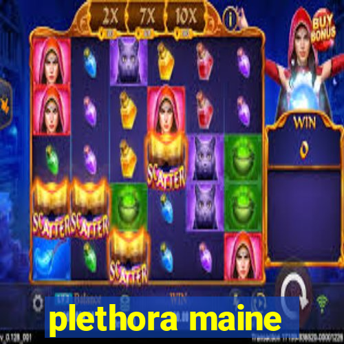 plethora maine